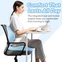 SYNNA Seat Cushion for Office Chair and Car, Ergonomic L-Shape Seat Cushion with Lumbar Support Pressure Relief for Back, Hip & Tailbone Pain, Perfect for Car, Truck & Home