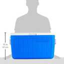 Coleman Chiller 48qt Insulated Portable Cooler with Ice Retention & Heavy-Duty Handles, Made in USA, Great for Camping, Tailgating, Parties, Sports, Concerts & More, 45.4 liters