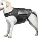 Dog Back Brace for IVDD, Arthritis, Slipped and Herniated Discs  Provides Back Support and Pain Relief, Stabilizes Spine for Surgical Recovery and Mobility, Dogs Back Disease Prevention(Black,L)