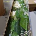 Faux Hydrangea Tree 2 Pack, 3FT White Artificial Flowering Plant