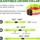 Light Up Dog Collar for Night Walking Flashing, LED Dog Collar Light Rechargeable Reflective Dog Collar Water-Resistant Adjustable Size Dog Collars for Medium Dogs (Green)