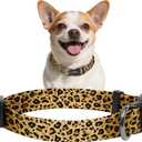 Kazazoo Dog Collar Cute and Soft Nylon Puppy Collar for Boy and Girl, Adjustable Dog Collars for Small Medium Dogs, Brown Leopard- L