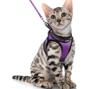 rabbitgoo Cat Harness and Leash Set for Walking Escape Proof, Adjustable Soft Kittens Vest with Reflective Strip for Cats, Comfortable Outdoor Vest, Purple, XL
