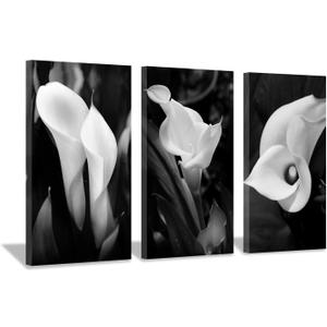 Hardy Gallery Floral Artwork Nature Flower Picture: Calla-Lily Print on Canvas Set for Wall Art (26"x16"x3 panels)
