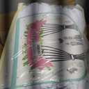 50ftx14ft White Backdrop Curtain for Wedding Parties, W5' x H14'