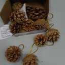 JOHOUSE 18PCS Hanging Natural Pine Cones (1.5"2.5"), Rustic Pinecones with Strings for Fall Garland, Christmas Tree Ornaments, Wreath Making, Vase/Bowl Filler Winter Decor (Multi Color)