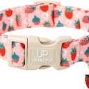 Dog Collar-Summer Puppy Collars-Adjustable Strawberry Pet Collar for Small,Medium,Large Dogs-Durable & Cute Design (StarBerry CC)