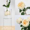 IPOPU 5PCS Real Touch Austin Roses Champagne Flowers Peony Artificial Flowers Fake Roses with Stems for Wedding Bouquet Party Home Decor(Champagne)
