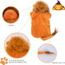 DELIFUR Dog Halloween Lion Costume - Adorable Pet Dress Up Clothes Animal Warmth Cosplay Holiday Coat for Small and Medium Dog Funny Outfit Comfort (Orange Lion, Large)