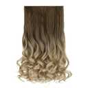REECHO 20" 1-pack 3/4 Ombre Full Head Curly Wave Clips in on Synthetic Hair Extensions HE008 Hair pieces for Women 5 Clips 4.5 Oz Per Piece - Ombre Light Brown to Dirty Blonde