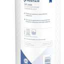 Pentair Pentek CBC-20BB Big Blue Carbon Water Filter, 20-Inch, Whole House Carbon Block Replacement Cartridge with Bonded Powdered Activated Carbon (PAC) Filter, 20" x 4.5", 0.5 Micron