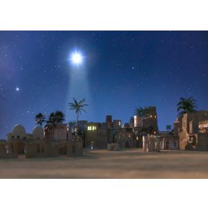 LYCGS 10X8ft Nativity Backdrop Birth of Jesus Sign Backdrop Christmas Photography Background Christmas Star Night Star of Bethlehem Over Desert Birth of Jesus Background X-310