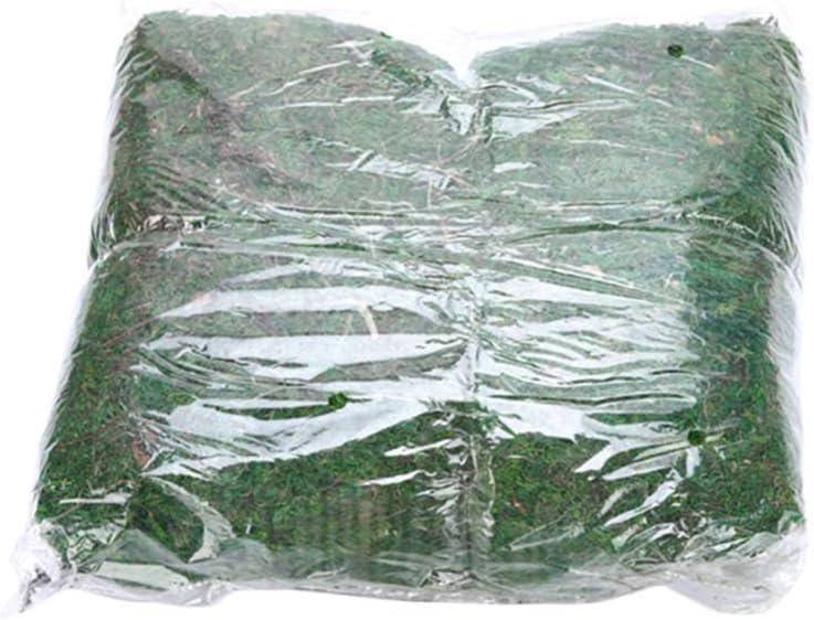 Ciieeo Lifelike Artificial Moss Miniature Ornament for Garden Mini House Decoration
