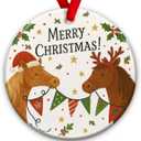 2 x Cute Horses Merry Christmas Ornament 2026 Horse Lovers Xmas Tree Decoration, Rustic Farm Holiday Decor - Xmas Tree Hanging Decor, Holiday Keepsake Ideas for Family, Friends