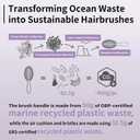 2 x NewSea Detangling Brush  Anti-Static, Flexible Bristles for Wet & Dry Hair, Eco-Friendly, Purple, for Straight & Wavy Hair