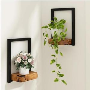 Natural Edge Cedar Wood 2 Pack Wall Plant Holders, Window Planters Shelves, Wood Floating Shelf, Indoor Plants Stands, Wall Decor Planter Hanging Shelf, 12x9x5 Inches