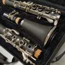 Ktaxon Bb Clarinet for Beginners, Band & Orchestra Musical Instruments 17 Keys B Flat Student Clarinets Set with Cleaning Kit, Case, Mouthpiece, Accessories (Black)