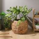 Cabilock Handwoven Hyacinth Planter Basket, Natural Woven Rattan Storage Basket for Small Plants, Eco-Friendly Indoor & Outdoor Decorative Pot Cover for Farmhouse, Boho Home Decor, 25X25X20CM