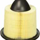 Motorcraft FA1632B3 Air Cleaner Element Assembly