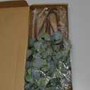 6 Pcs 27" Eucalyptus Stems Greenery Stems Eucalyptus Leaf Spray in Green Silk Plastic Plants Floral Artificial Plants for Home Party Wedding Decoration