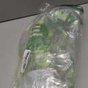 TOSSWARE NATURAL Flat Sip Lid  - Plant Based 98mm Lids for Cold Cups - Plastic Alternative Clear Lids - Only Compatible with TOSSWARE NATURAL 98mm Cups