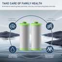 AO-US-200-R Water Filter Replacement Cartridge Compatible with AO Smith Advanced Water Filtration System, 1 Set (2 Counts)