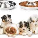 Stainless Steel Puppy Bowls, Set of 2 Puppy Feeder, Dog Food and Water Bowl, Food Feeding Weaning for Small Medium Large Dogs, Pets, S