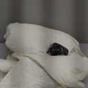 KinCam Waterproof Oversized Loveseat Recliner Cover, Non-Slip Reclining Couch Covers for 2 Seat, Recliner Sofa Cover Furniture Protector with Elastic Straps for Kids, Pets, Beige