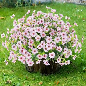 Sggvecsy Artificial Flowers for Outdoors 12 Bundles Realistic Faux Plants UV Resistant Fake Silk Daisy with Eucalyptus for Boxwood Planter Patio Porch Outside Spring Summer Decoration(Pink)