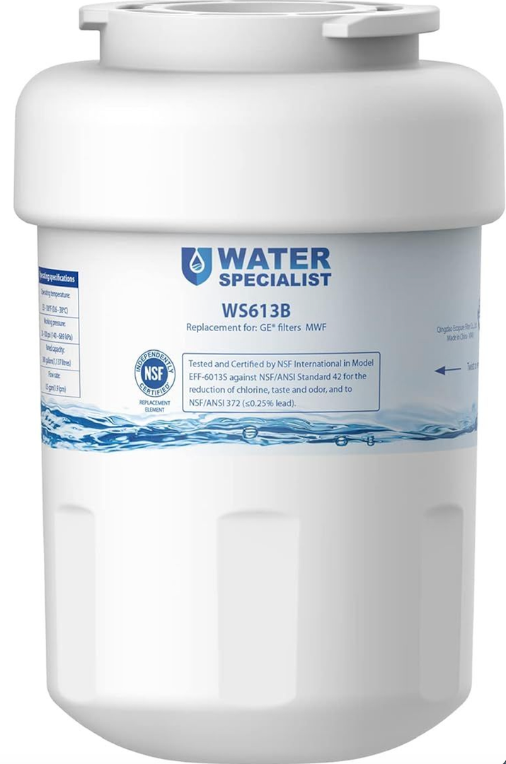 Waterspecialist WS613B Replacement for GE® MWF®, SmartWater® MWFP, MWFA, GWF, HDX FMG-1, WFC1201, GSE25GSHECSS, PC75009, RWF1060 Refrigerator Water Filter, 2 Filters