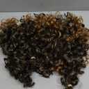 7 Packs GoGo Curl Crochet Hair 14 Inch Short Curly Crochet Hair for Women Beach Curl Water Wave Deep Twist Crochet Braids Synthetic Braiding Hair Extensions (14 Inch, T1B/27)