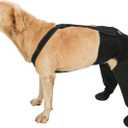 COODEO Dog Paw Protector with Hind Leg Sleeve, Waterproof Anti-Licking Dog Sock with Non-Slip Bottom, Rear Leg Recovery Cover for Wounds, Hot Spots, Skin Irritation & Outdoor Use (Black, L)