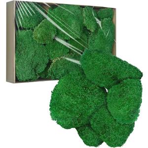 TurelinnG Preserved Moss Decor - Real Forest Moss, Moss for Crafts, Flexible for DIY Crafts, Home, Wall, Terrarium, Art Projects(Dark Green 2 sq.ft)
