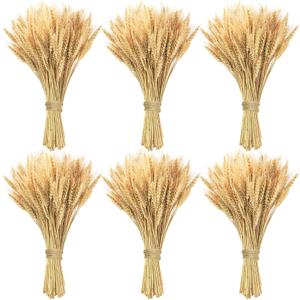 600 Stems Natural Dried Wheat Stalks, 18 inches Dried Wheat Grass Bundle Wheat Sheaves Wreath for Flowers Arrangement Wedding Table Centerpieces Home Kitchen Office DIY Party Dcor