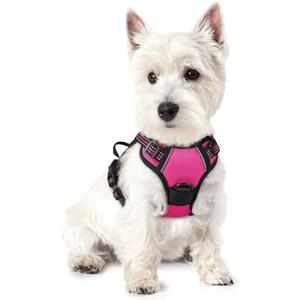 rabbitgoo Dog Harness No Pull with 2 Leash Clips, Adjustable Soft Padded, Reflective Oxford No Choke Pet Vest with Easy Control Handle for Puppy, Hot Pink, XS