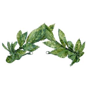 MOSTORY Green Leaf Laurel Crown - Handmade Wooland Greek Leaf Headpiece Forest Emperor Circlet for Men King Adult Renaissance Halloween Renfaire Cosplay Medieval Toga Costume
