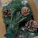 2 Pack 24 Inch Lighted Outdoor Christmas Tree with Dual Color LED Lights, Remote Control Battery Operated Pre-lit Pathway Urn Filler, Christmas Porch Decorations for Home, Porch & Yard