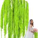 12Pcs 24 Inch Green Natural Dried Amaranthus Hanging Flowers, 100% Pure Preserved, Amaranthus Artificial Flower for Wedding Arch, Floral Garland, Bouquet, Wall Home Decoration