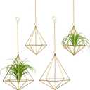 4 Pcs Geometric Himmeli Air Plant Holders - Metal Tillandsia Display Hangers with Chains, 2 Sizes (Small & Large) - Gold Home Decor, Housewarming Gift, Boho Wall or Ceiling Hanging Planter