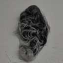 REECHO Ponytail Extension, 24" Claw Clip in Ponytail Extensions Long Curly Wavy Jaw Clip on Pony Tails Hairpiece for Women, Grey with White Ends