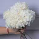 5 PCS Dried Preserved White Hydrangea Flowers - Length 14'' Corolla Size 3''-4'' Real Hydrangeas Petals Handmade for Vase, Arrangement Boho Style Home House Office Wedding Shower Valentine's Decor