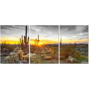 sechars Arizona Wall Art Desert Landscape Picture Painting Southwest Cactus Canvas Print for Living Room Bedroom Decor