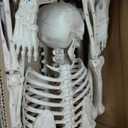 JOYIN 5.6 FT Halloween Posable Life Size Skeleton, Full Body Realistic Bones with Movable Joints, Giant Skeletons Halloween Decorations for Indoor Outdoor Haunted House Props, Spooky Scene Party Decor (Yellow)