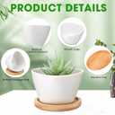24 Pack Small Succulent Pots, Mini Ceramic Succulent Planter, White, 3 x 2.13 inches