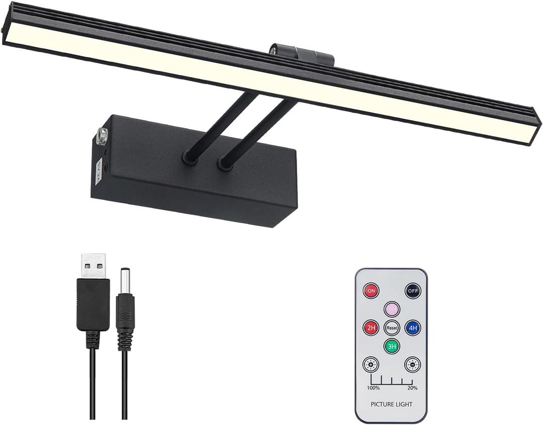 FUNCHDAY Picture Light,Battery Art Lights for Wall,Wireless Remote Painting Light with Timer and Dimmable,13Metal Display Lighting for Artwork,Portrait,Gallery-Black