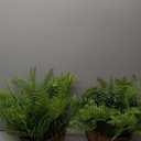 2 Set Fake Ferns with Hanging Baskets, UV Resistant Fake Hanging Ferns Plants, Outdoor Artificial Hanging Plants for Front Porch Garden Balcony Patio Home Decor, No Assembly (Green X 2)