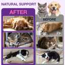 Melatonin for Pets, Melatonin for Dogs, Sleep Aid for Dogs, Melatonins for Cats, Support Aanxiety & Stress Relief, Promotes Relaxation and Deep Sleep, 2Oz Chicken Flavor