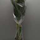 Nearly Natural 4ft Golden Cane Palm, Double Stalk Artificial Tree With Lush Realistic Foliage Maintenance Free Indoor Faux Palm Plant For Living Room, Easy Setup, Perfect Tropical Decoration