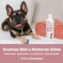 2 x True Coat Short & Smooth Coat Dog Shampoo, 5 in 1 Soothes & Shines with Oat Milk, Coconut Oil & Vitamin E, 16 oz