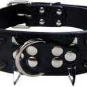 Izefia Dog Collar Sharp Spiked Studded Luxurious Padded Leather Collars for Medium Large Dogs - 2 Inch Width Necklace Anti-Biting (L, Black-SV)